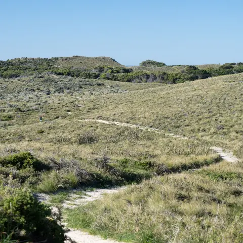 A path flowing though the land on Wadjemup.