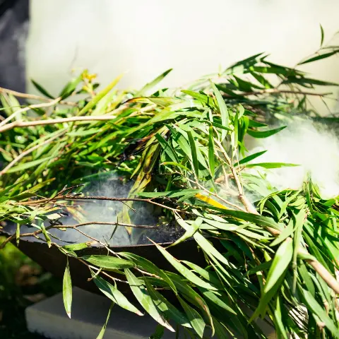 Smoke ceremony with a branch