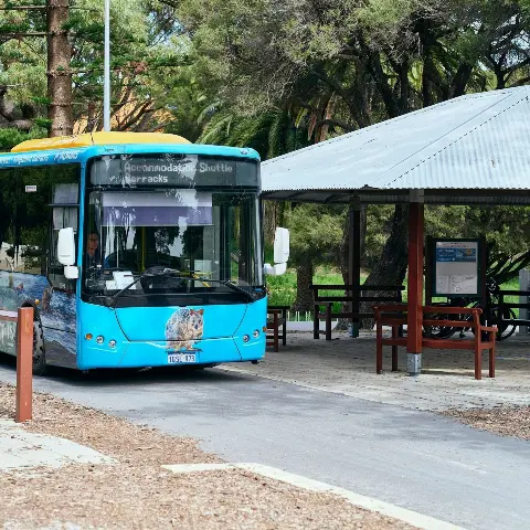 The Main Bus Stop with a Quokka Coaches bus delivering passengers.